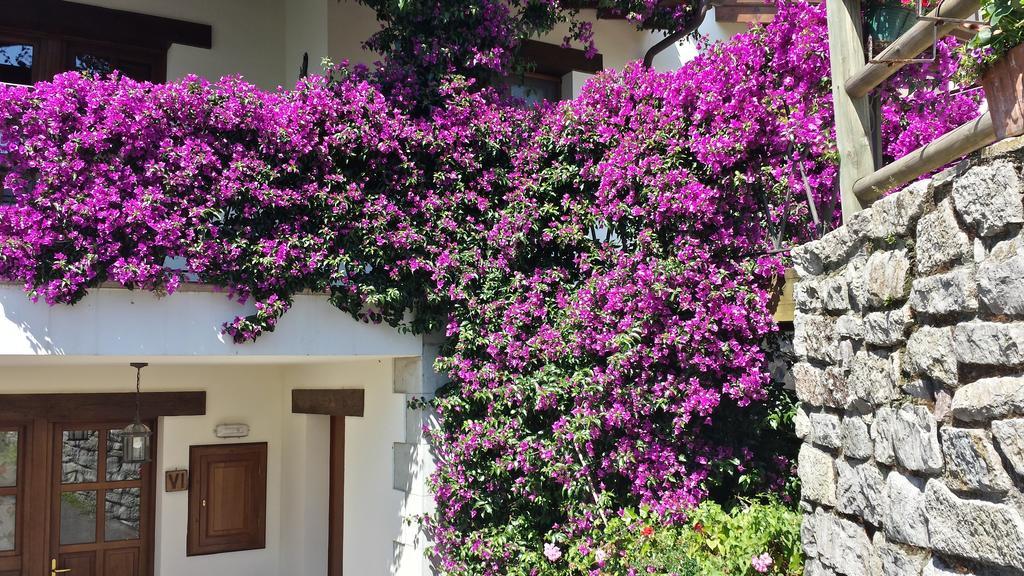 Apartamentos Rurales La Gueertona Ardines Dış mekan fotoğraf