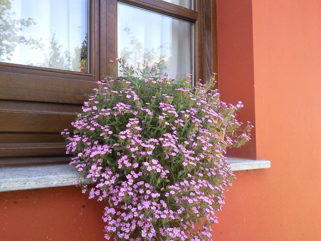 Apartamentos Rurales La Gueertona Ardines Dış mekan fotoğraf